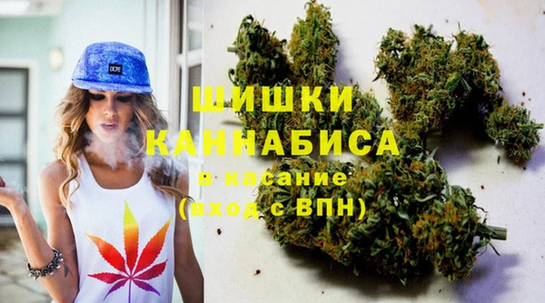 apvp Алзамай