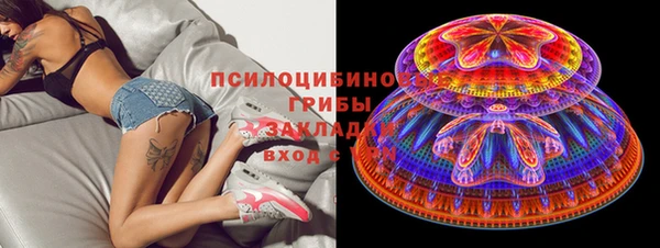 сатива Алексеевка