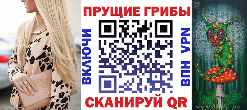 Галлюциногенные грибы Psilocybe Кемь